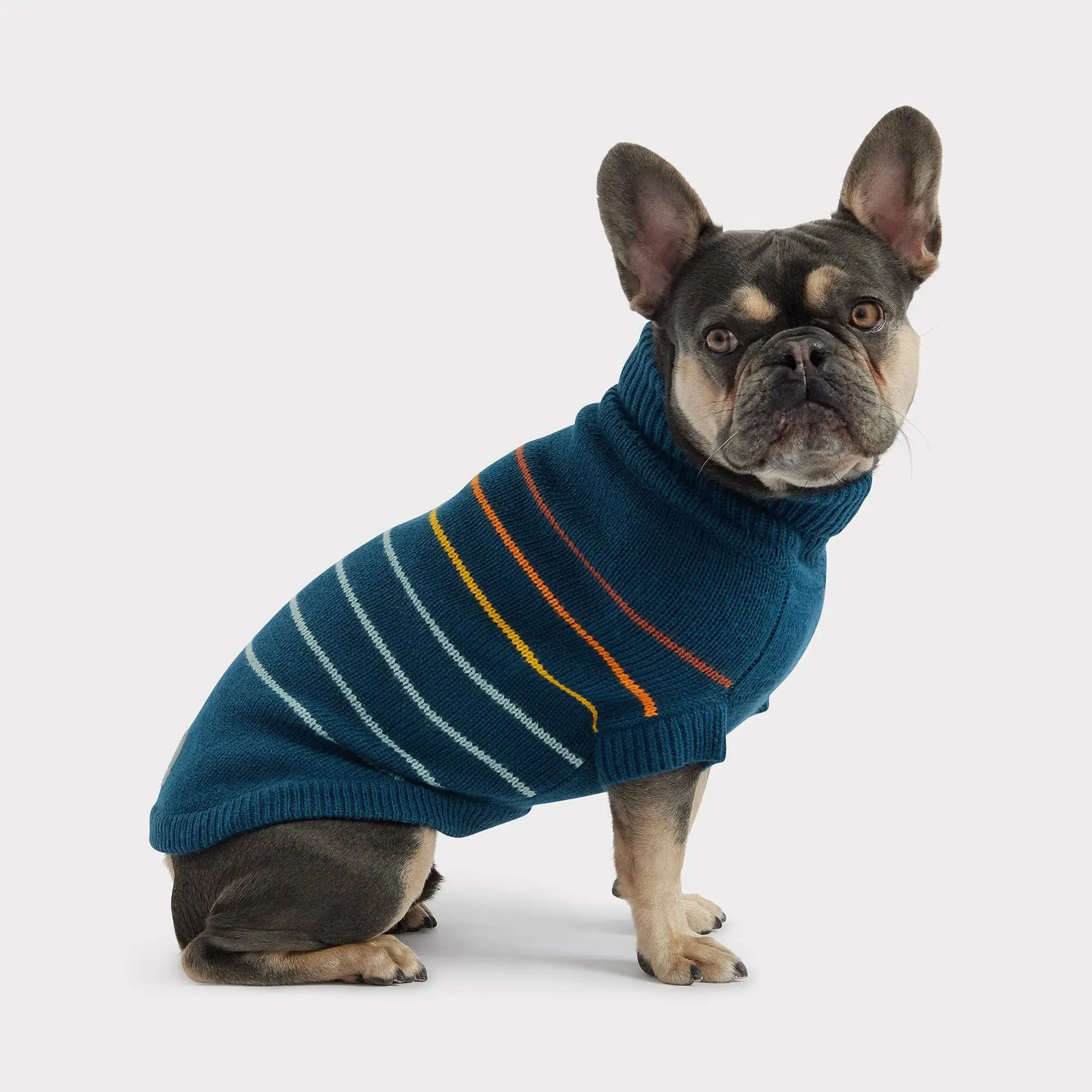 Arctic Dog Sweater | Dark Teal