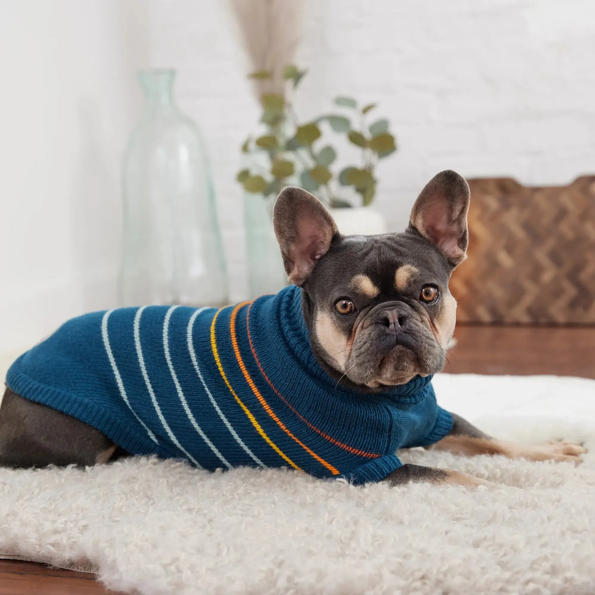 Arctic Dog Sweater | Dark Teal